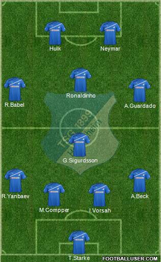 TSG 1899 Hoffenheim Formation 2011