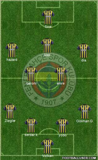 Fenerbahçe SK Formation 2011