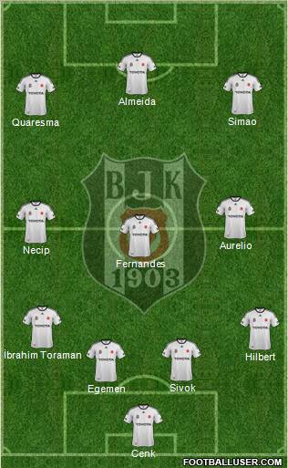 Besiktas JK Formation 2011