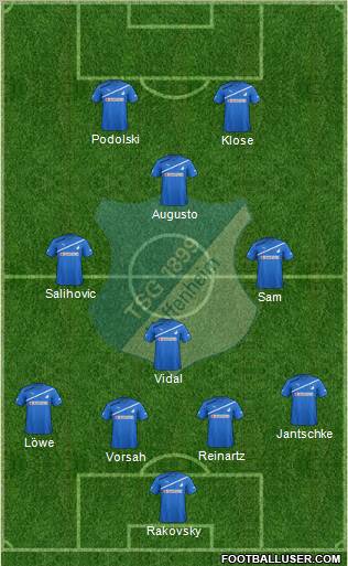 TSG 1899 Hoffenheim Formation 2011