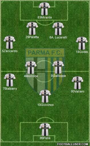 Parma Formation 2011