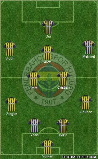 Fenerbahçe SK Formation 2011