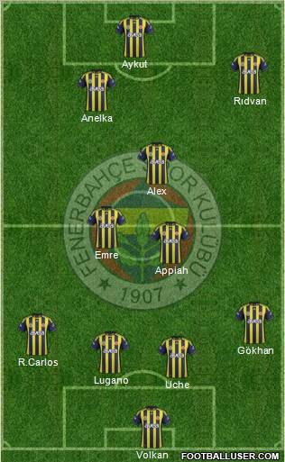 Fenerbahçe SK Formation 2011