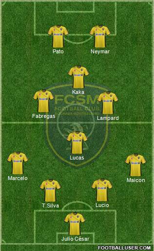 FC Sochaux-Montbéliard Formation 2011