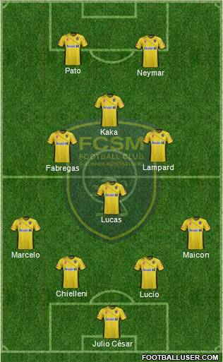 FC Sochaux-Montbéliard Formation 2011