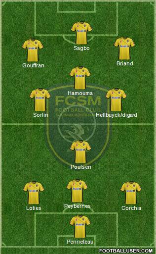 FC Sochaux-Montbéliard Formation 2011