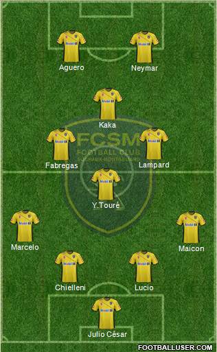 FC Sochaux-Montbéliard Formation 2011