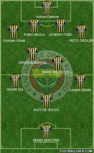 Fenerbahçe SK Formation 2011