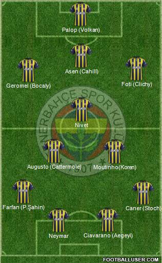 Fenerbahçe SK Formation 2011