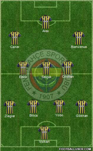 Fenerbahçe SK Formation 2011