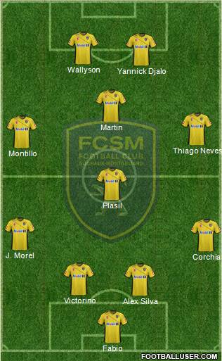 FC Sochaux-Montbéliard Formation 2011