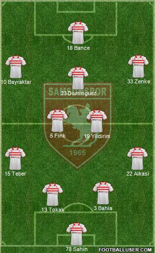 Samsunspor Formation 2011