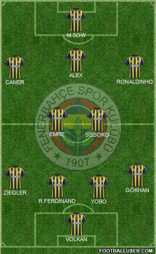 Fenerbahçe SK Formation 2011