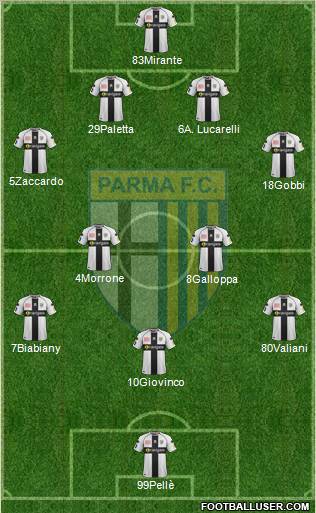 Parma Formation 2011