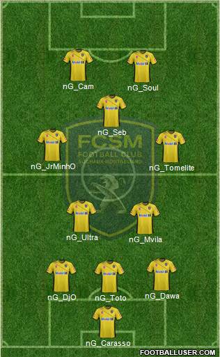 FC Sochaux-Montbéliard Formation 2011