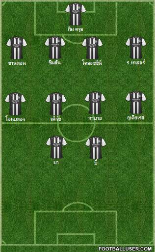 Newcastle United Formation 2011