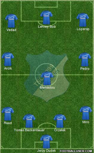 TSG 1899 Hoffenheim Formation 2011