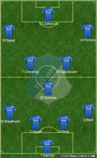 TSG 1899 Hoffenheim Formation 2011