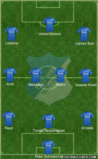 TSG 1899 Hoffenheim Formation 2011