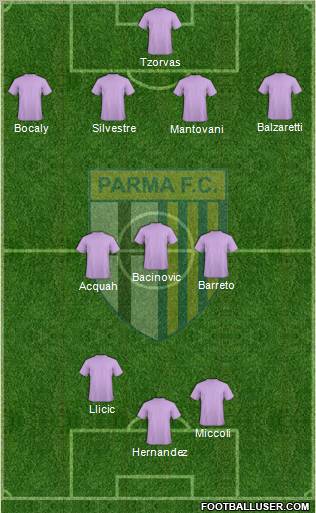 Parma Formation 2011