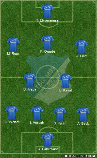 TSG 1899 Hoffenheim Formation 2011