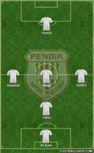 Pendikspor Formation 2011