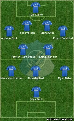 TSG 1899 Hoffenheim Formation 2012