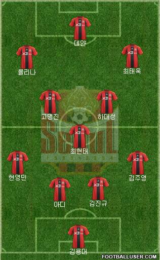 FC Seoul Formation 2012