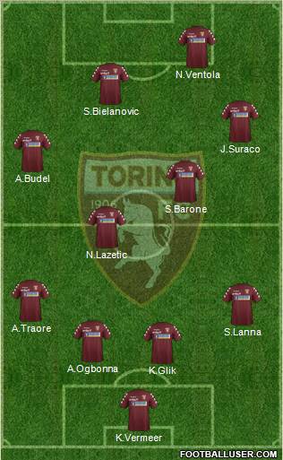 Torino Formation 2012