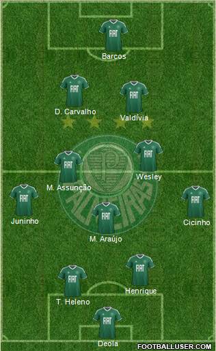 SE Palmeiras Formation 2012