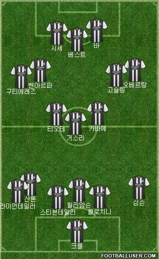 Newcastle United Formation 2012