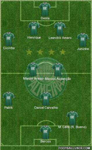 SE Palmeiras Formation 2012