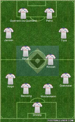 Hamburger SV Formation 2012