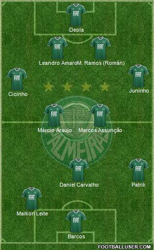 SE Palmeiras Formation 2012