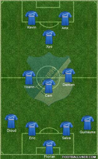 TSG 1899 Hoffenheim Formation 2012