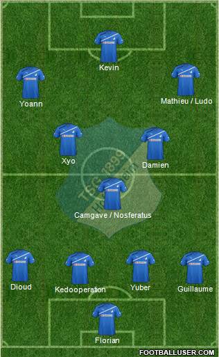 TSG 1899 Hoffenheim Formation 2012