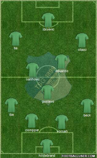 TSG 1899 Hoffenheim Formation 2012