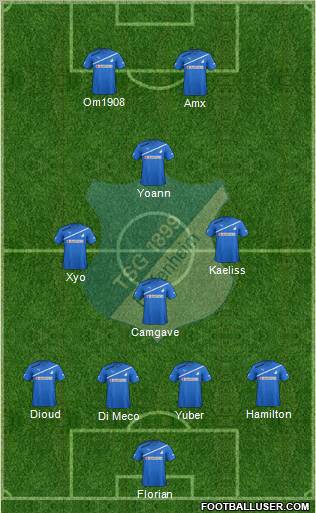 TSG 1899 Hoffenheim Formation 2012