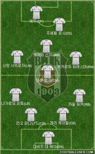 Besiktas JK Formation 2012