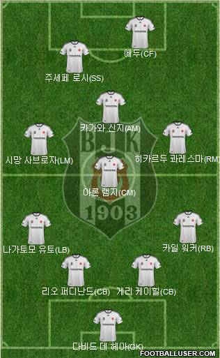 Besiktas JK Formation 2012