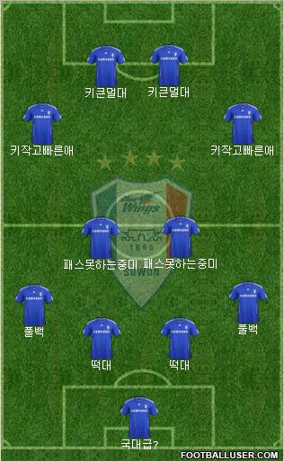 Suwon Samsung Blue Wings Formation 2012