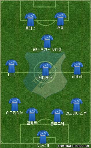 TSG 1899 Hoffenheim Formation 2012