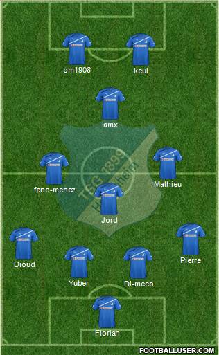 TSG 1899 Hoffenheim Formation 2012