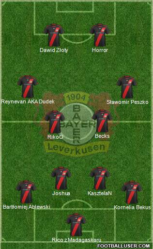 Bayer 04 Leverkusen Formation 2012