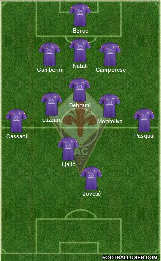 Fiorentina Formation 2012