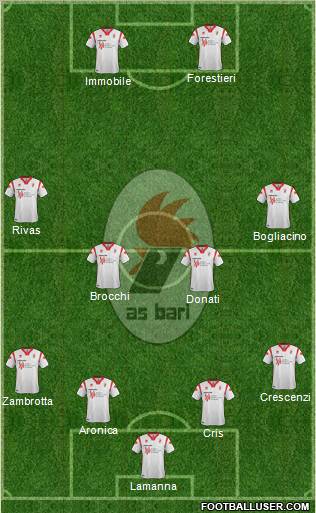 Bari Formation 2012