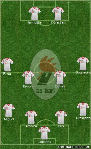 Bari Formation 2012