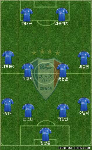 Suwon Samsung Blue Wings Formation 2012