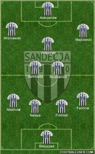 Sandecja Nowy Sacz Formation 2012