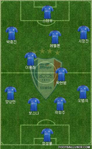 Suwon Samsung Blue Wings Formation 2012